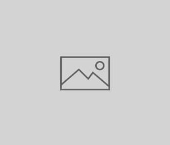 Best Collections of Expert Information and Tools